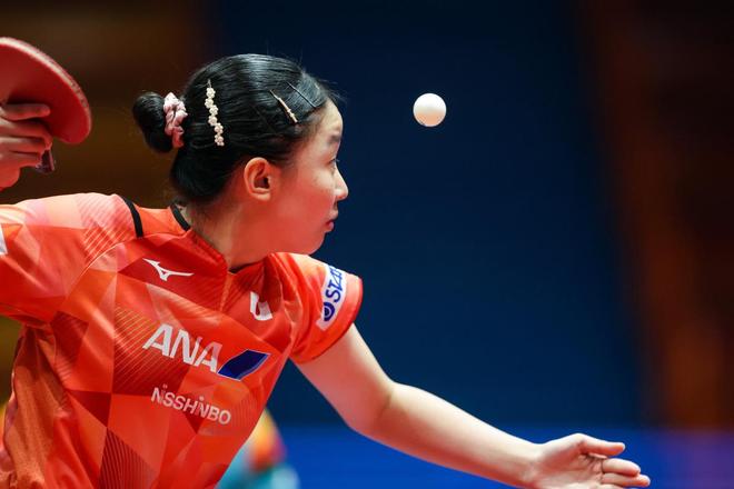 教育的理解 教育的理解